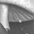 Palmers_Pilze-50.jpg