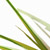 VAS-Range-Folder_50.jpg