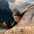 XC70_Broschuere_50.jpg