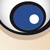 scotch-head-50.jpg